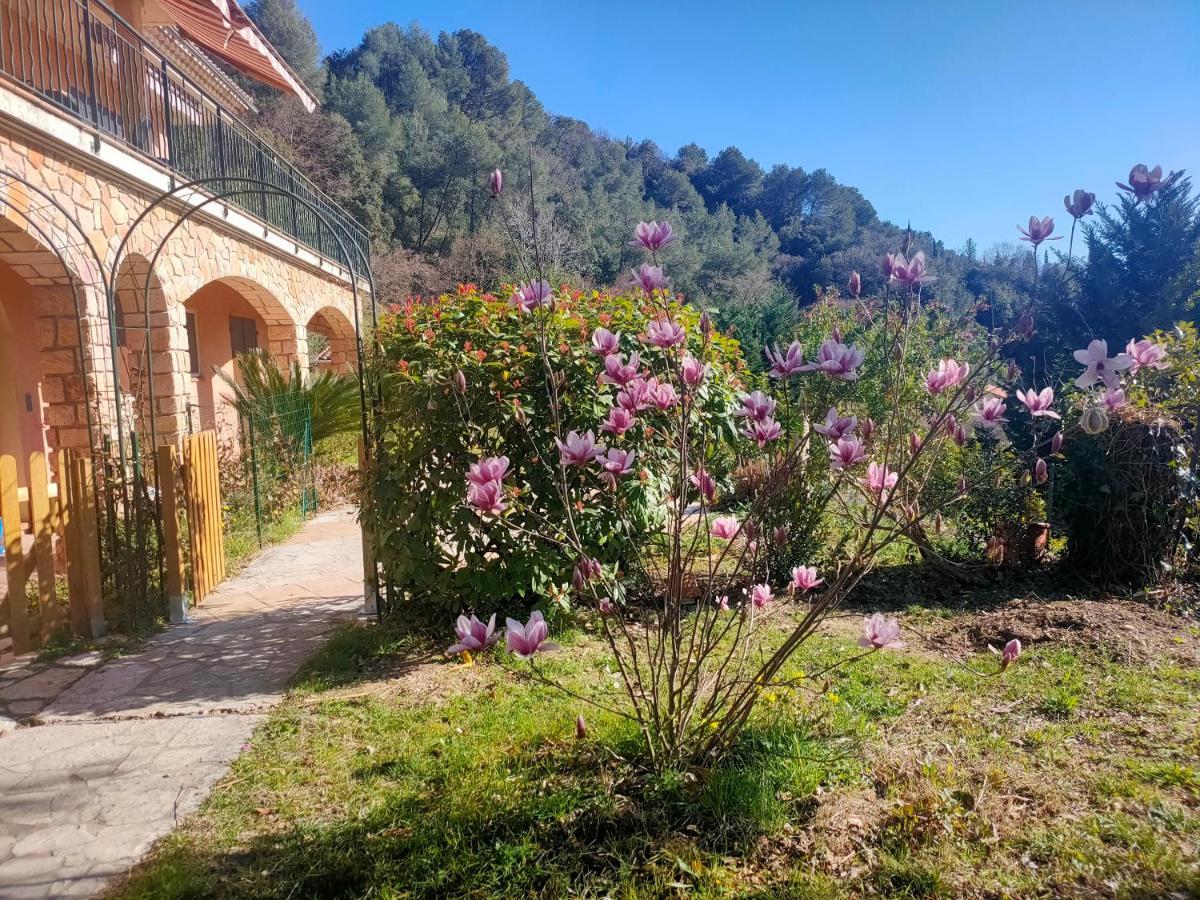 Vila Un Brin De Paille Cagnes-sur-Mer Exteriér fotografie