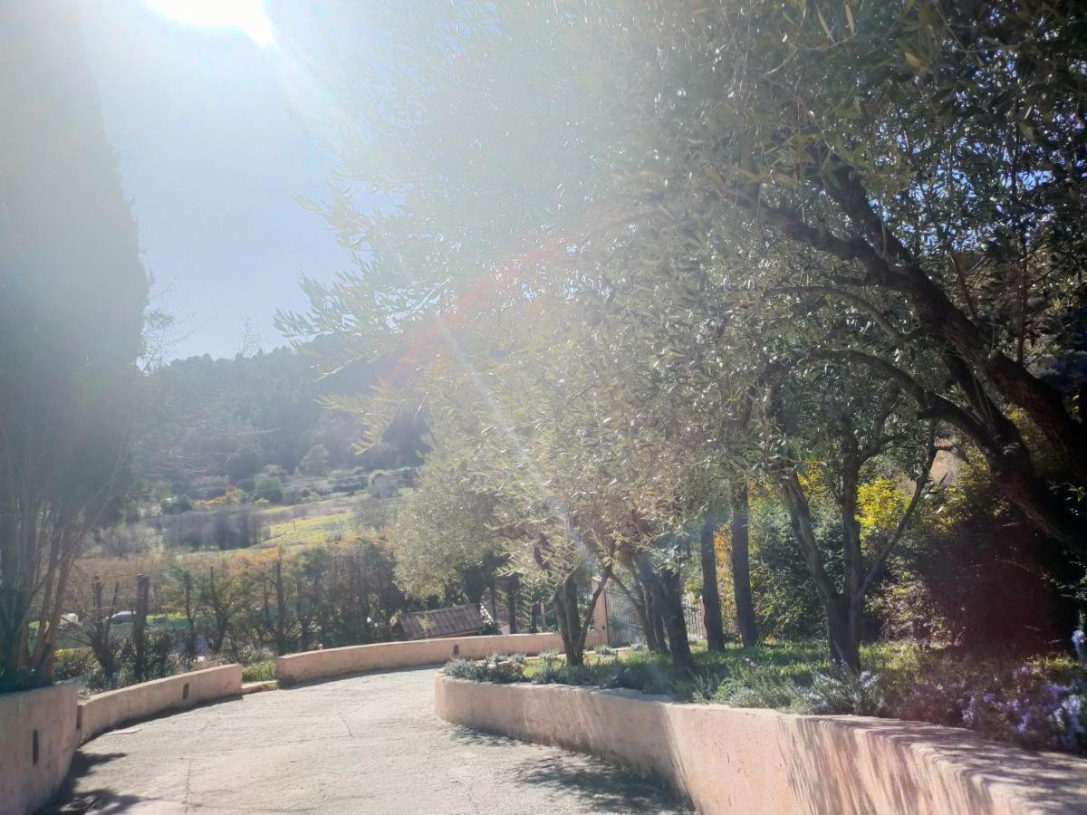 Vila Un Brin De Paille Cagnes-sur-Mer Exteriér fotografie
