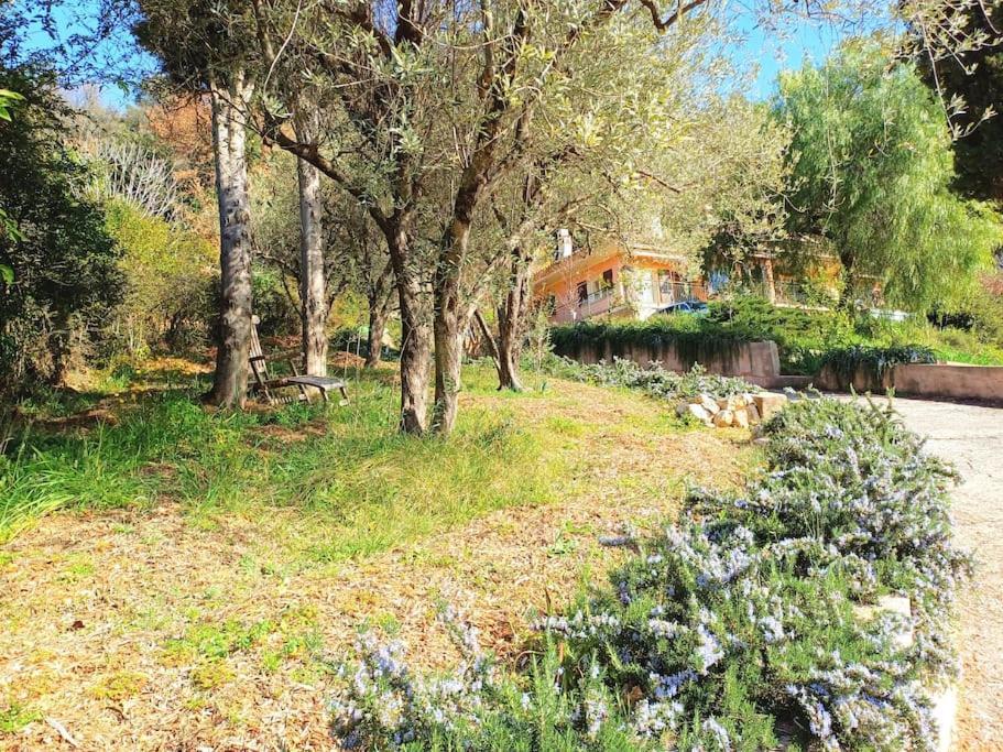 Vila Un Brin De Paille Cagnes-sur-Mer Exteriér fotografie